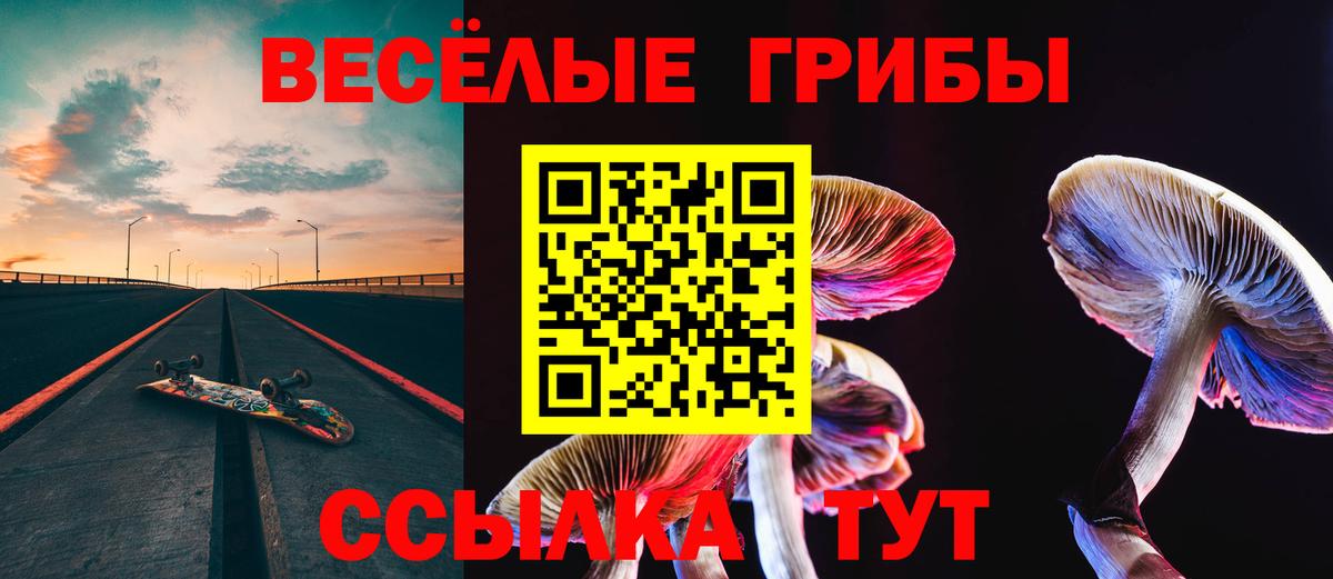 Лесозаводск  Галлюциногенные грибы GOLDEN TEACHER  Вход с VPN 