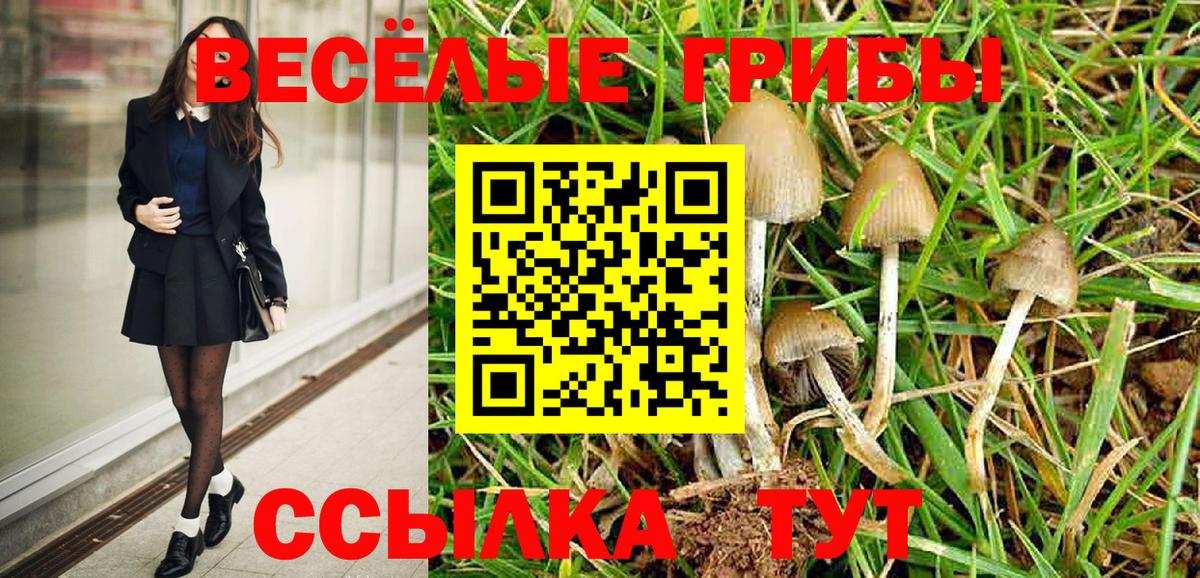 Псилоцибиновые грибы ЛСД  Лесозаводск  Псилоцибиновые грибы мухоморы 